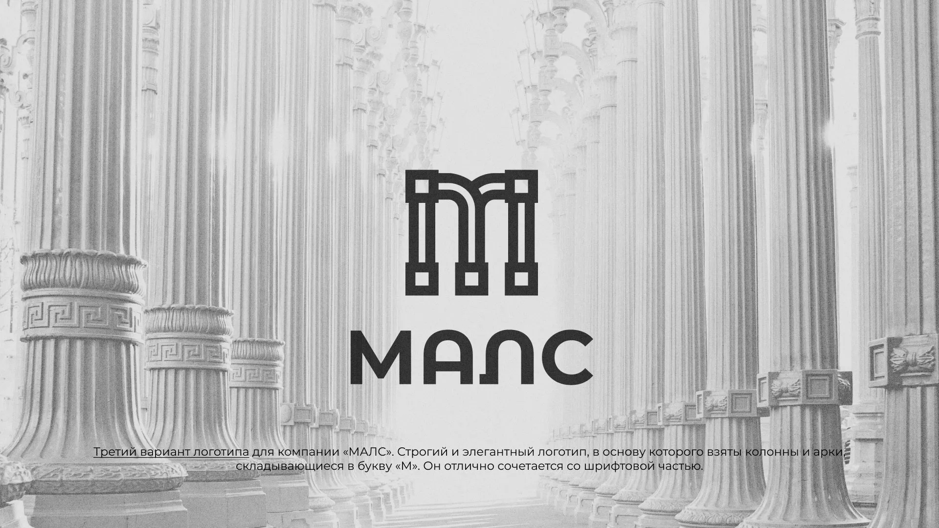 Разработка логотипа компании «МАЛС» в Костомукше