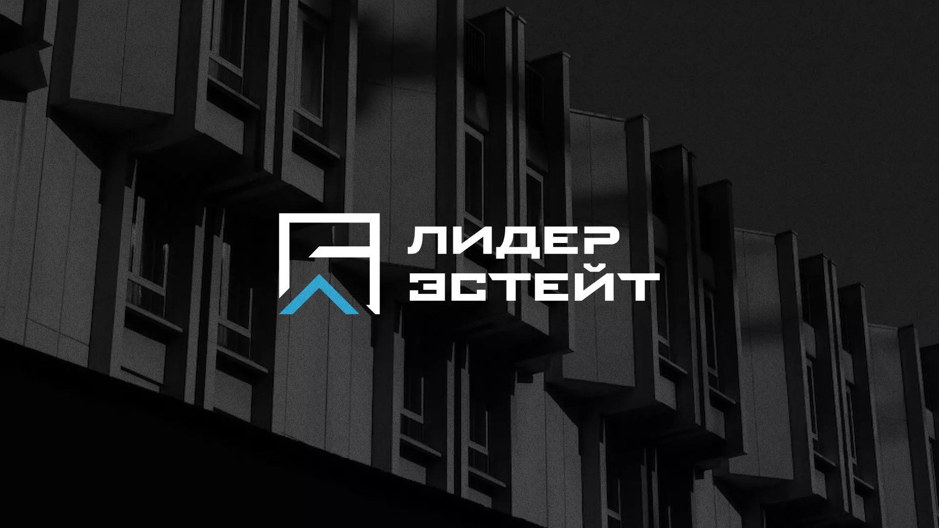 Разработка логотипа агентства недвижимости «Лидер Эстейт» в Костомукше